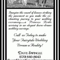 Black Horse Farm Newspaper Ad