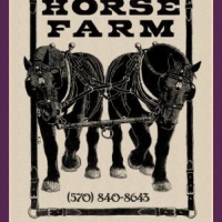 Black Horse Farm Logo Poster
