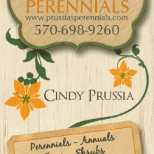 businesscard.gif