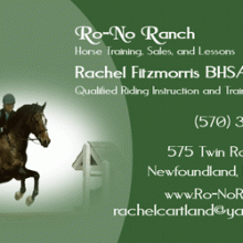 rachel_businesscard2.gif