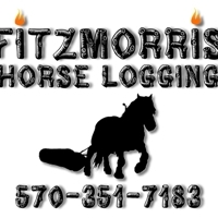 2 Fitzmorris Horse Logging - Logo Development Stage 5