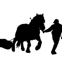 5 Fitzmorris Horse Logging - Logo Development Stage 3