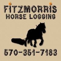 1 Fitzmorris Horse Logging - Logo Development Stage 5a