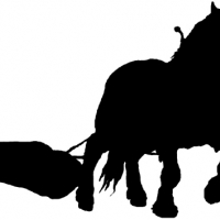 4 Fitzmorris Horse Logging - Logo Development Stage 4