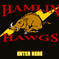 Hamlin Hawgs Entry Page