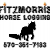 Fitzmorris Horse Logging