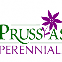 prussia-logo1.png