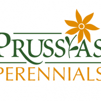 prussia-logo1b.png