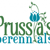 Prussia's Perennials Options