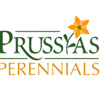 prussia-logo3.png