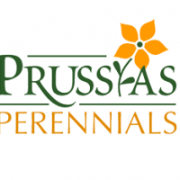 prussia-logo3a.png