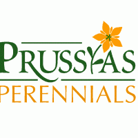 Prussia's Perennials