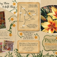Prussias Perennials Brochure Design