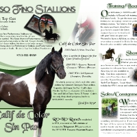 Ro-No Ranch Brochure (Inside)
