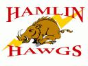Hamlin Hawgs Logo Design